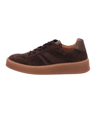 Gabor Sneaker Low in chocolate