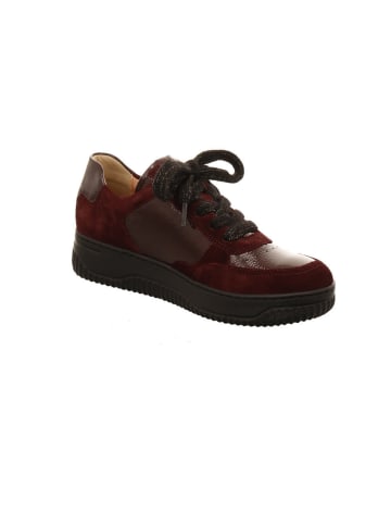 Hartjes Sneaker Low in rot