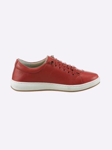 Andrea Conti Sneaker in rot