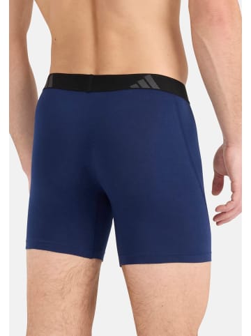 Adidas Sportswear Long Short / Pant Active Flex Cotton in Mehrfarbig
