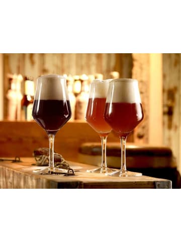 Stölzle 6er Set Biergläser Craft Beer 0,3 l in transparent