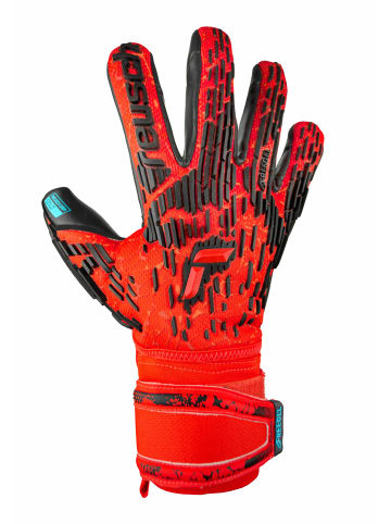 Reusch Torwarthandschuhe Attrakt Freegel Gold in 3333  brig red/futr blu/blck