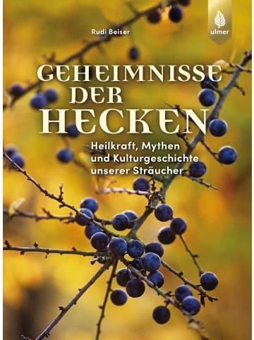 Ulmer Geheimnisse der Hecken