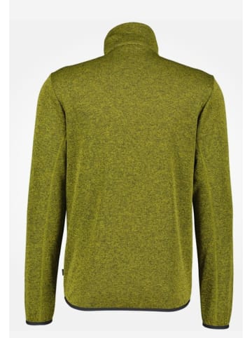 Regatta Sweatshirt für Herren in Oliv