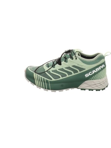 SCARPA Outdoorschuh in grün