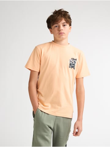 Petrol Industries T-Shirt mit Rückenprint Vaquero in Orange