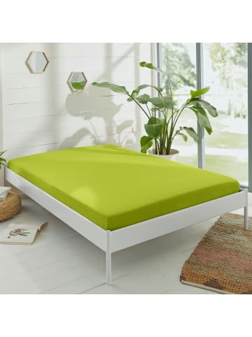 Erwin Müller Single-Jersey Spannbettlaken Murnau in apfelgrün