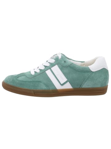 Paul Green Schnürschuhe in wasabi/white