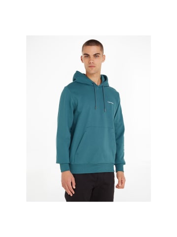 Calvin Klein Sweatshirt in foamy ocean