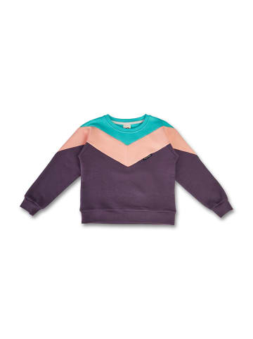 MANITOBER Cut & Sew Sweatshirt in Mint/Apricot/Aubergine