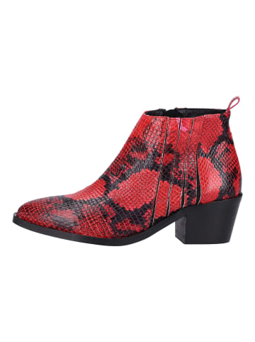 ILC Stiefelette in Rot