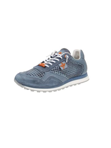 Cetti Sneaker low C-848 EXP in Blau