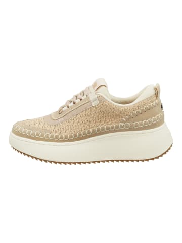 Steve Madden Sneaker in Beige