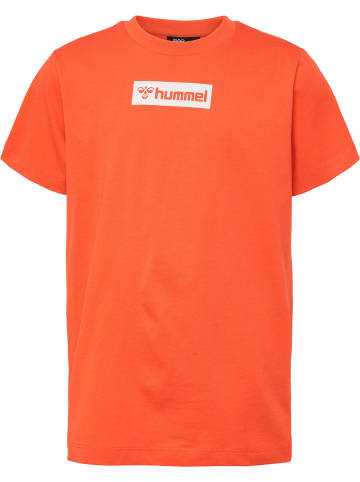Hummel Hummel T-Shirt Hmlflow Jungen in CHERRY TOMATO