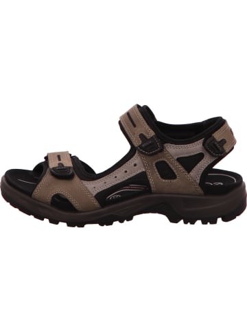 Ecco Sandalette in dunkelgrau