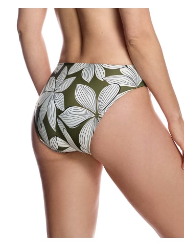 ORY - Heine Pantys in Green