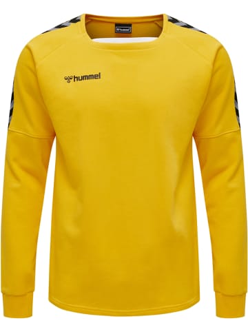 Hummel Hummel Sweatshirt Hmlauthentic Multisport Herren in SPORTS YELLOW