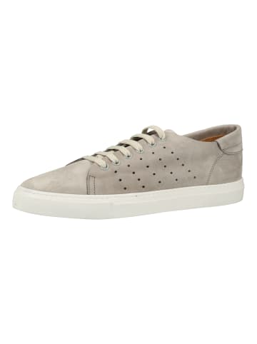 Darkwood Sneaker in Grau