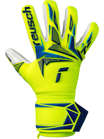 Reusch Torwarthandschuhe Attrakt Freegel Advance Junior in 2005 safe yellw/sharp blue