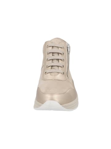 Solidus Stiefeletten/Boot in braun