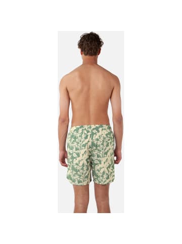 Barts M BALTRA SHORTS in Khaki