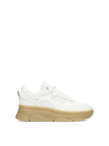 POELMAN PS Poelman JANA Damen Sneaker