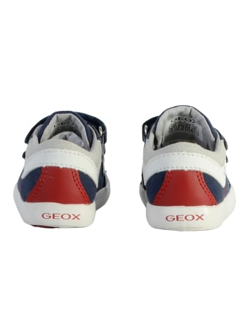 Geox Sneaker Kind Gisli Blau