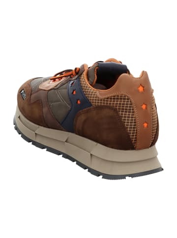 Cetti Klassische Schnürschuhe in Braun