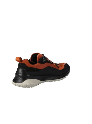 Ecco Sneaker Ult-Trn M in black/cognac