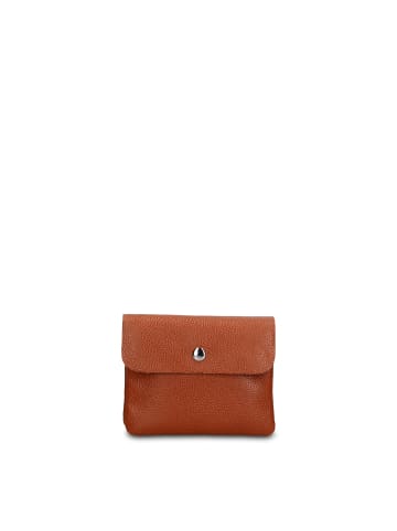 Briciole Münzbeutel in BROWN