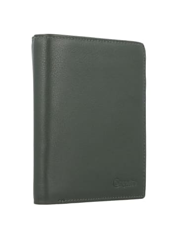 Esquire Viktoria Geldbörse RFID Leder 10 cm grün