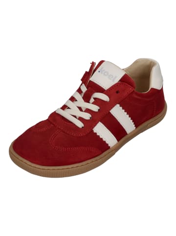 KOEL Sneaker Low DECLAN SUEDE in rot