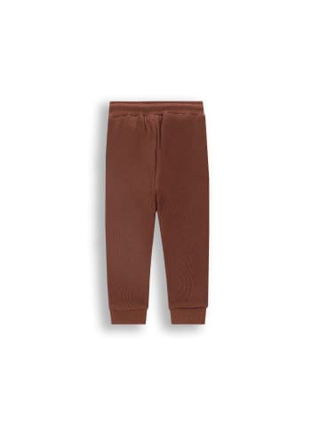 Coccodrillo Jogginghose in braun