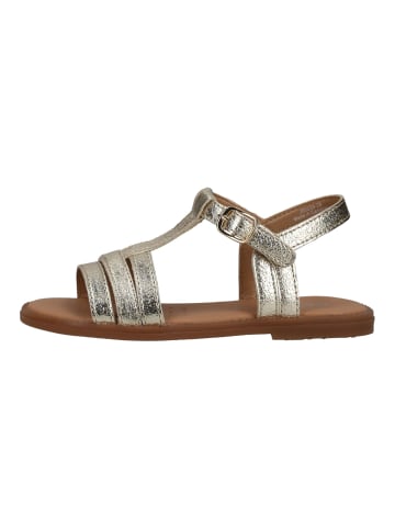 Geox Sandalen in Platinum