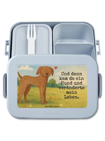 Mr. & Mrs. Panda Lunchbox Hund Dogge Design mit Spruch in Blau Pastell