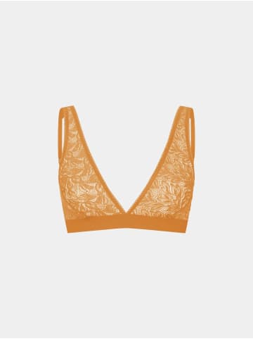 Erlich Textil  ICONIC LACE PLUNGE BH in aprikose