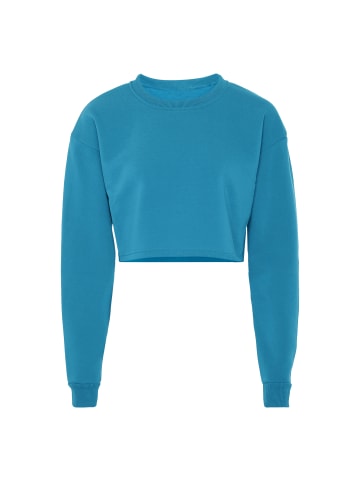 NALLY Sweatshirt in Blau