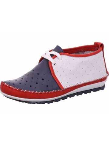 Gemini Schnürhalbschuh in blau