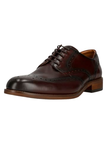Clarks Businessschuhe CraftRemi Tip in 5281 Brown Leather