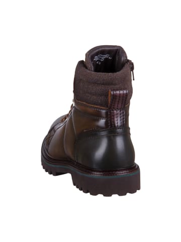 Ambitious Schnürstiefeletten in Braun