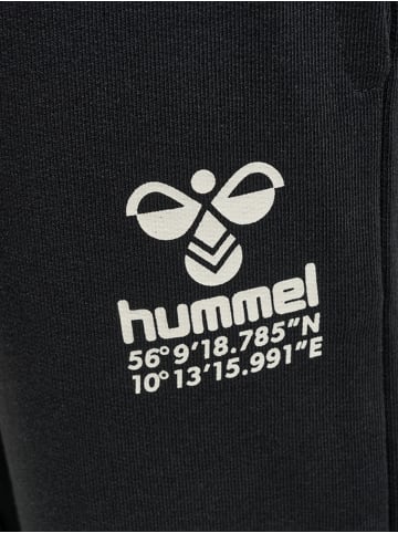 Hummel Hosen Hmlglobal Pants in BLACK