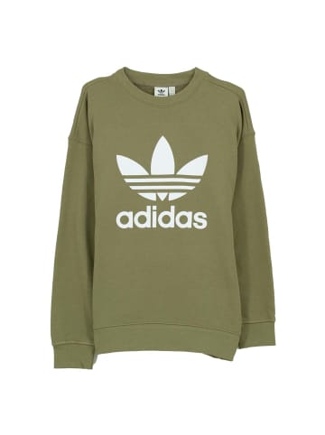 adidas Pullover Sweater Trefoil Crew in Grün