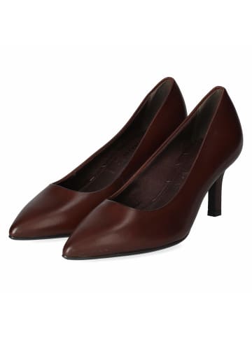 Tamaris Pumps in brown