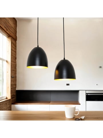 Licht-Erlebnisse Pendelleuchte (B)19 x (L)30 x (T)110 cm in Schwarz Gold