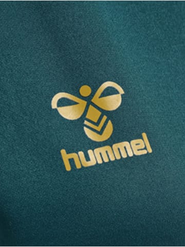 Hummel Hummel Hoodie Hmlcima Multisport Damen in BLUE CORAL