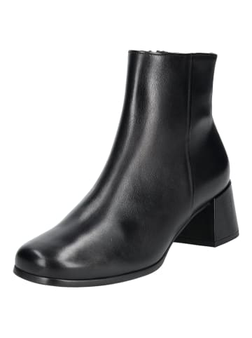 Högl Stiefelette in Schwarz