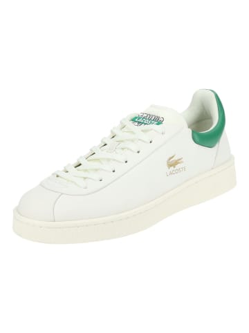 Lacoste Sneaker in Weiß/Grün