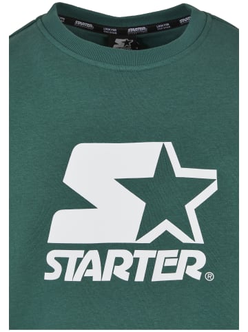 STARTER Sweaters in darkfreshgreen