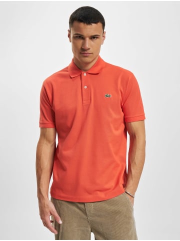 Lacoste Sonstiger Artikel in watermelon