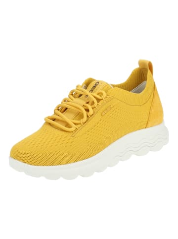 Geox Sneaker in Gelb